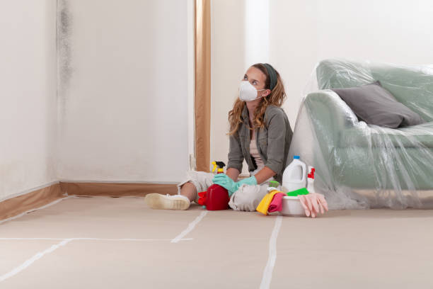 Reliable Crawl Space Mold Removal contractor in Battle Ground, WA by WQB Mold Removal